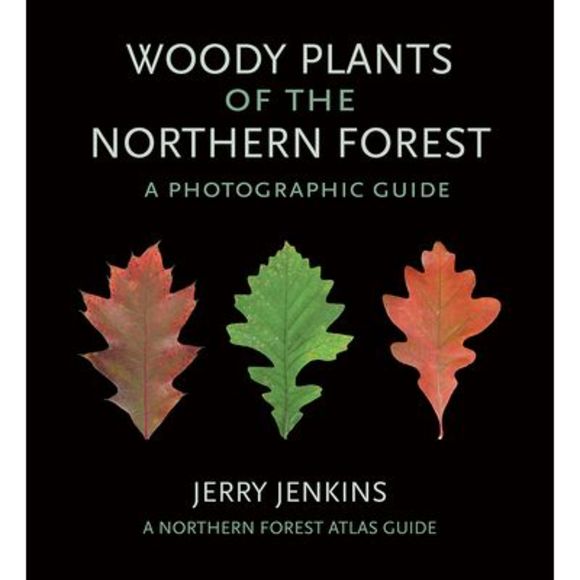 Woody Plants of the Northern Forest: A Photographic Guide -- Jerry Jenkins - Picture 1 of 1